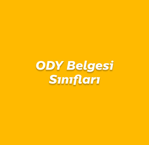 ODY Belgesi Sınıfları